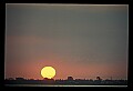 02500-00288-Florida Scenes.jpg
