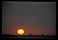 02500-00289-Florida Scenes.jpg