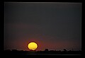 02500-00290-Florida Scenes.jpg