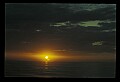 02500-00292-Florida Scenes.jpg