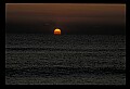 02500-00295-Florida Scenes.jpg