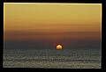 02500-00296-Florida Scenes.jpg