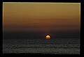 02500-00297-Florida Scenes.jpg