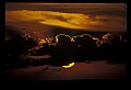 02500-00299-Florida Scenes.jpg