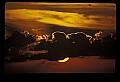 02500-00300-Florida Scenes.jpg