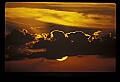 02500-00301-Florida Scenes.jpg