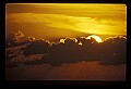 02500-00302-Florida Scenes.jpg