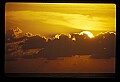 02500-00303-Florida Scenes.jpg
