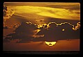 02500-00304-Florida Scenes.jpg