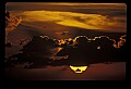 02500-00305-Florida Scenes.jpg