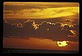02500-00306-Florida Scenes.jpg