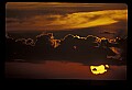 02500-00307-Florida Scenes.jpg
