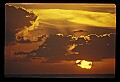 02500-00308-Florida Scenes.jpg