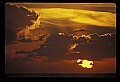 02500-00309-Florida Scenes.jpg