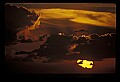 02500-00310-Florida Scenes.jpg