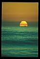 02500-00311-Florida Scenes.jpg