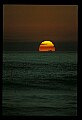 02500-00312-Florida Scenes.jpg