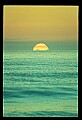 02500-00313-Florida Scenes.jpg