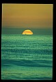 02500-00314-Florida Scenes.jpg