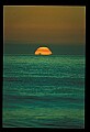 02500-00315-Florida Scenes.jpg