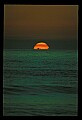 02500-00316-Florida Scenes.jpg