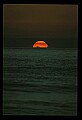02500-00317-Florida Scenes.jpg