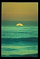 02500-00318-Florida Scenes.jpg