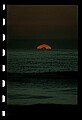 02500-00320-Florida Scenes.jpg
