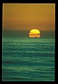 02500-00322-Florida Scenes.jpg