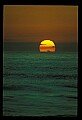 02500-00323-Florida Scenes.jpg