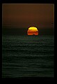 02500-00324-Florida Scenes.jpg