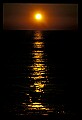 02500-00325-Florida Scenes.jpg