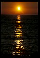 02500-00326-Florida Scenes.jpg