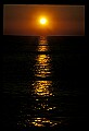 02500-00327-Florida Scenes.jpg