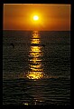 02500-00328-Florida Scenes.jpg
