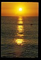 02500-00329-Florida Scenes.jpg