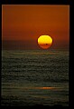 02500-00330-Florida Scenes.jpg