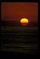 02500-00331-Florida Scenes.jpg