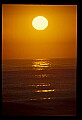 02500-00332-Florida Scenes.jpg