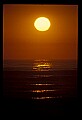 02500-00333-Florida Scenes.jpg