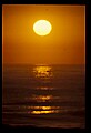 02500-00334-Florida Scenes.jpg