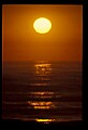 02500-00335-Florida Scenes.jpg