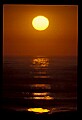 02500-00336-Florida Scenes.jpg
