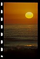 02500-00337-Florida Scenes.jpg