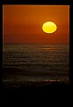 02500-00338-Florida Scenes.jpg