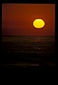 02500-00339-Florida Scenes.jpg