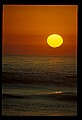 02500-00340-Florida Scenes.jpg