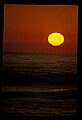 02500-00341-Florida Scenes.jpg