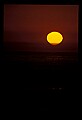 02500-00342-Florida Scenes.jpg
