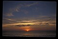 02500-00346-Florida Scenes.jpg